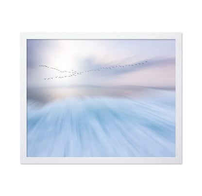 Flying Birds Horizon