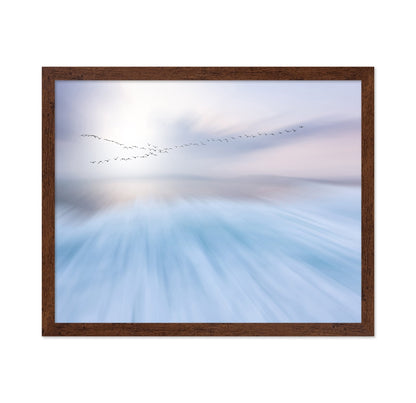 Flying Birds Horizon