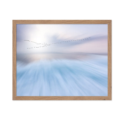 Flying Birds Horizon
