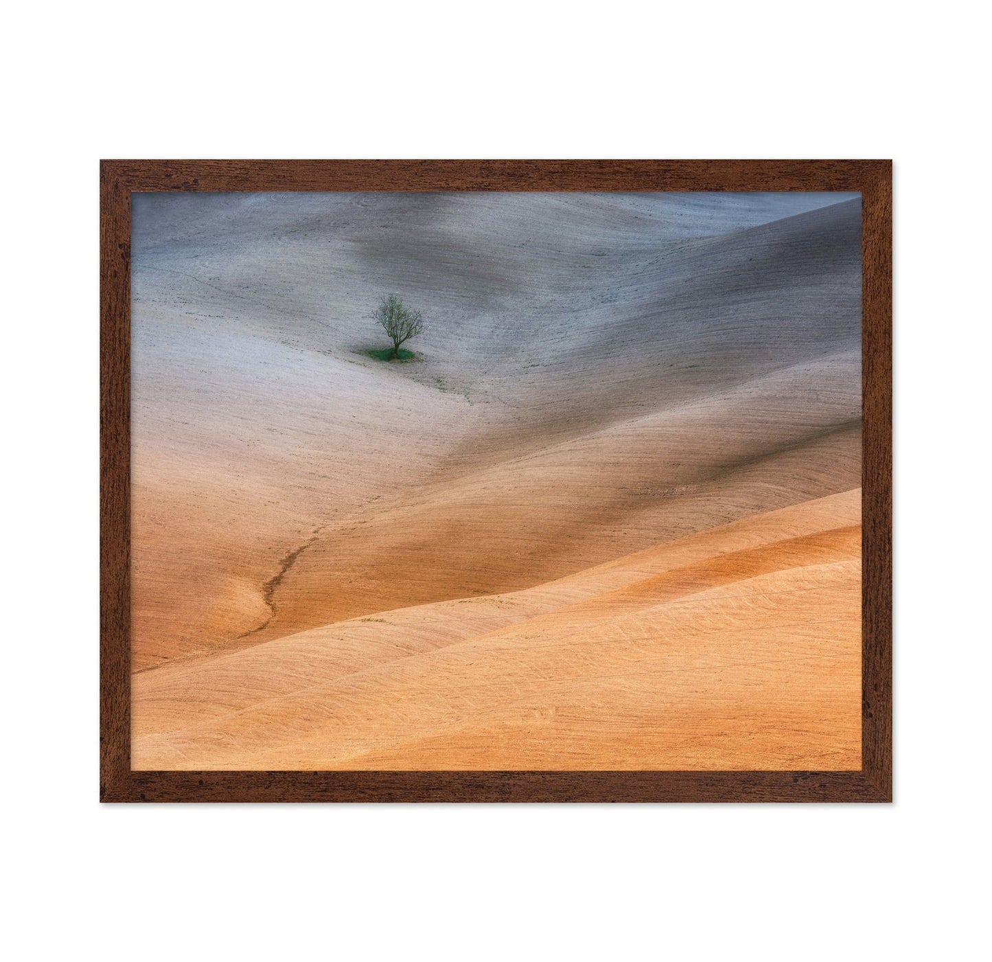 Lonely Tree Fields