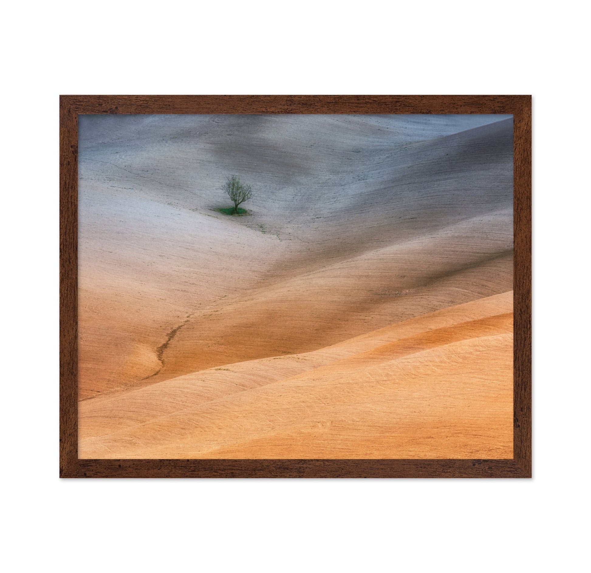 Lonely Tree Fields