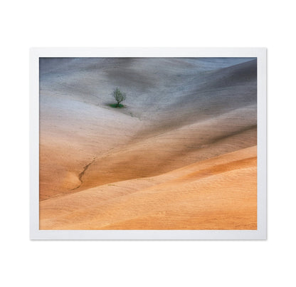 Lonely Tree Fields