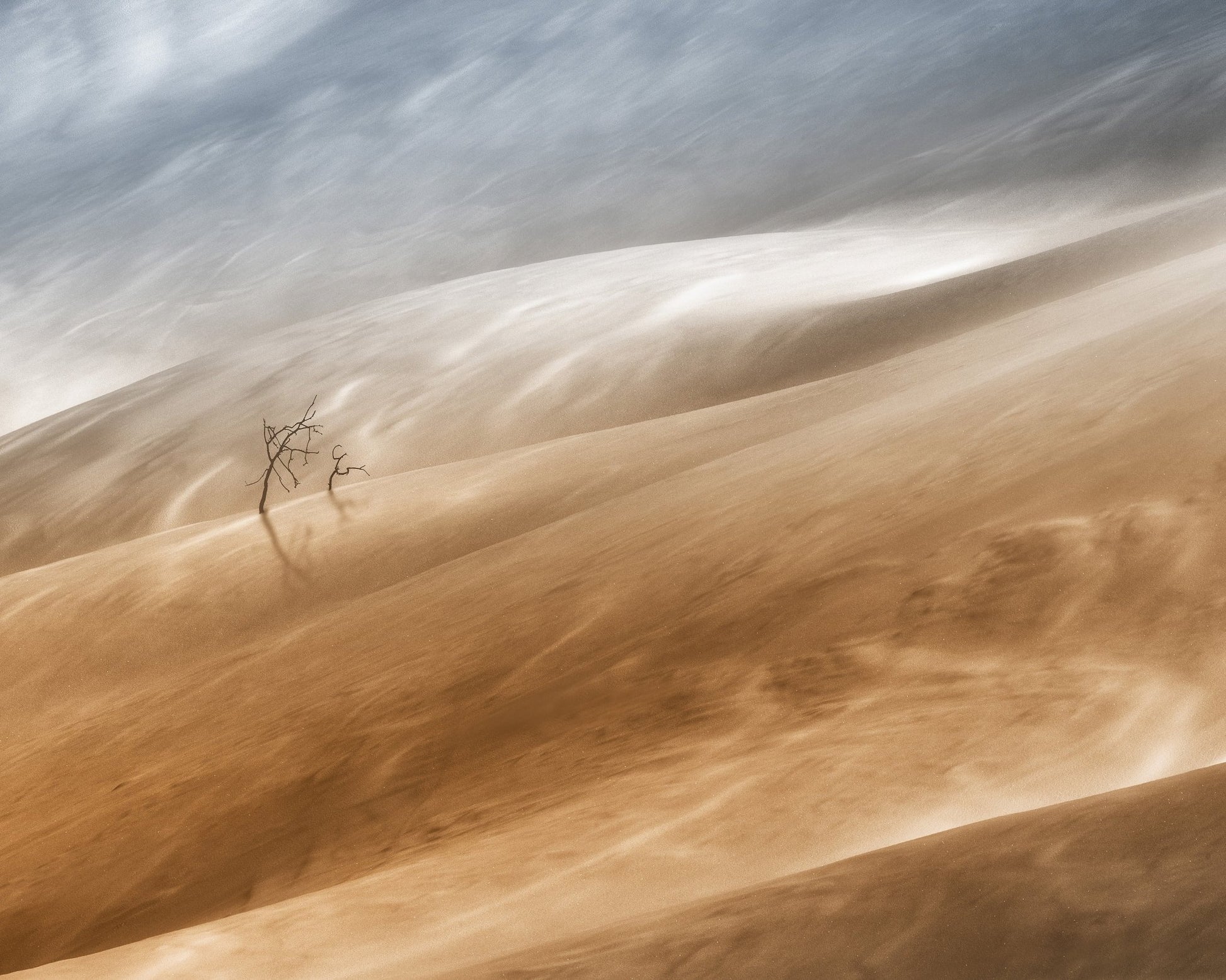 Desert Wind Dunes
