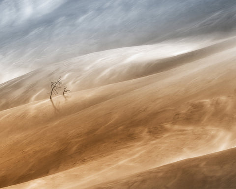 Desert Wind Dunes