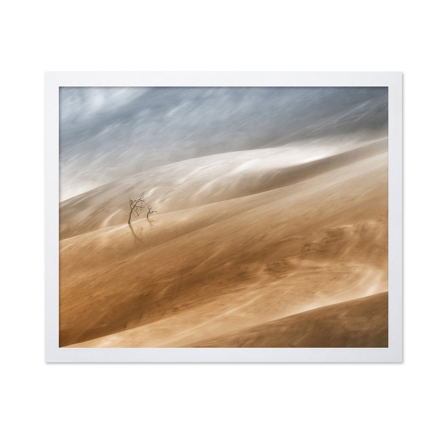 Desert Wind Dunes
