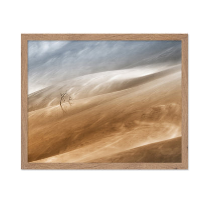 Desert Wind Dunes