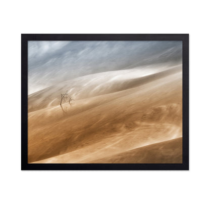 Desert Wind Dunes