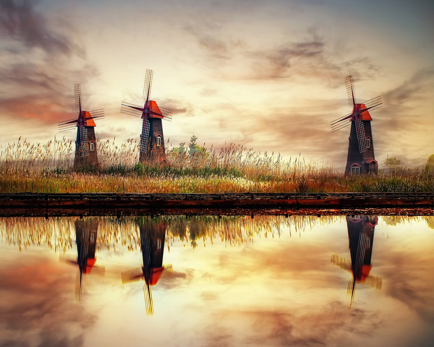 Windmill Reflection Field