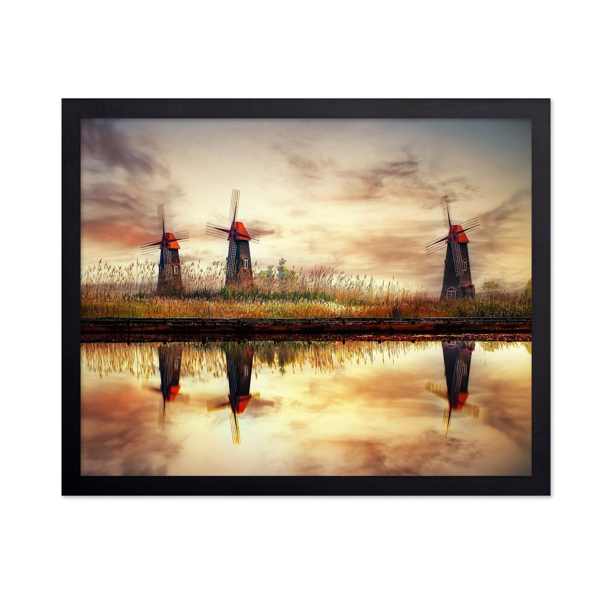 Windmill Reflection Field
