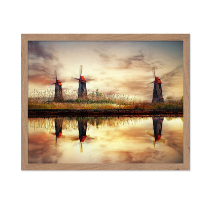 Windmill Reflection Field