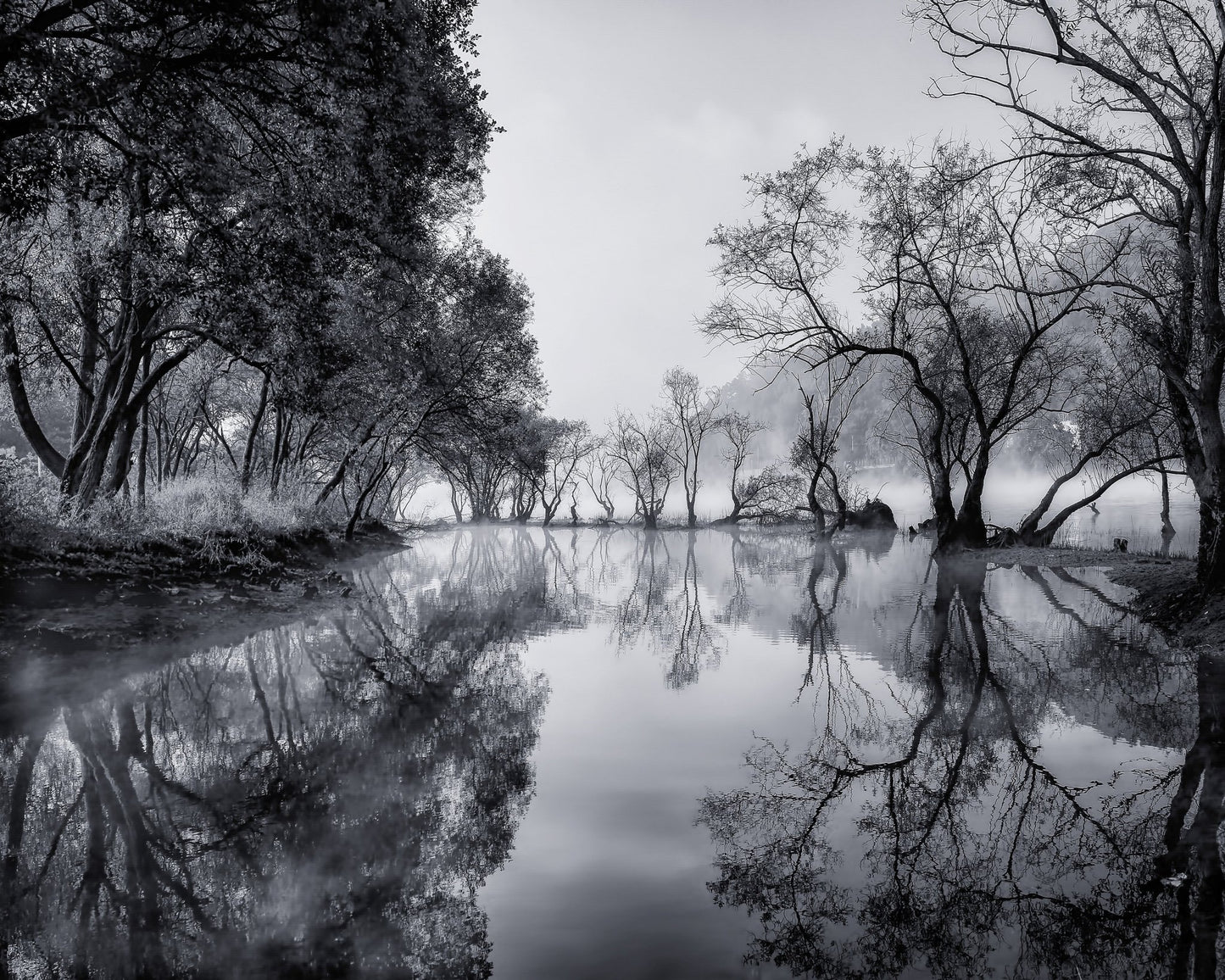 Misty River Reflections