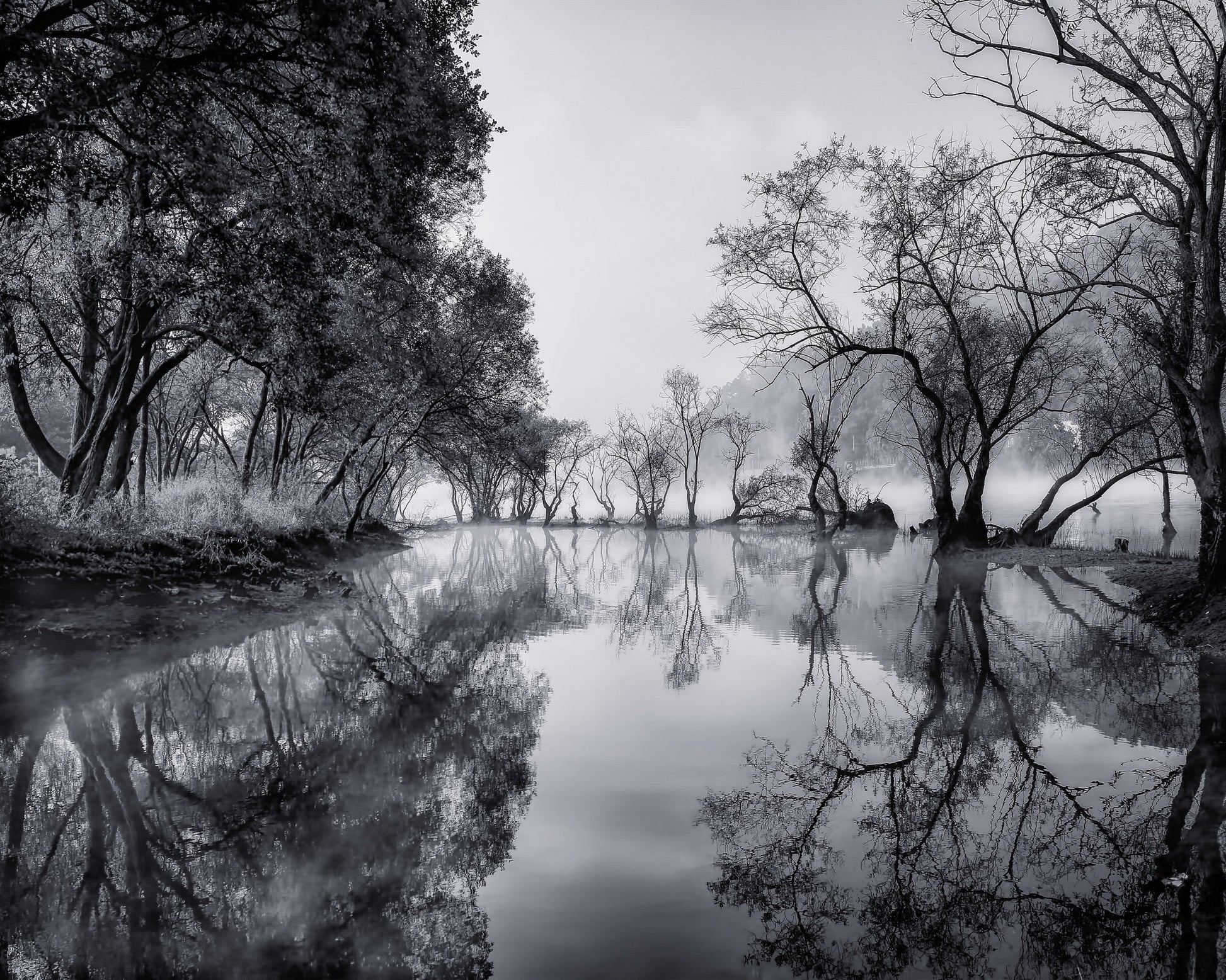 Misty River Reflections