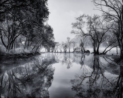 Misty River Reflections