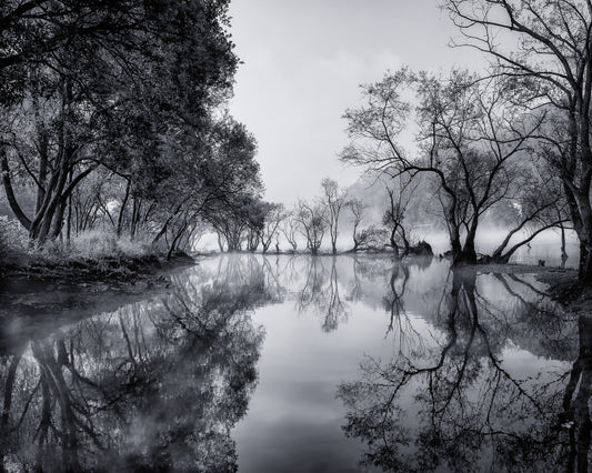 Misty River Reflections