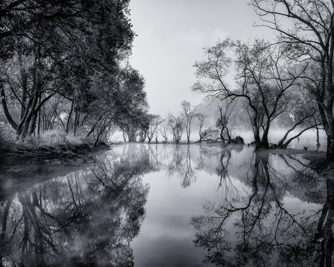 Misty River Reflections
