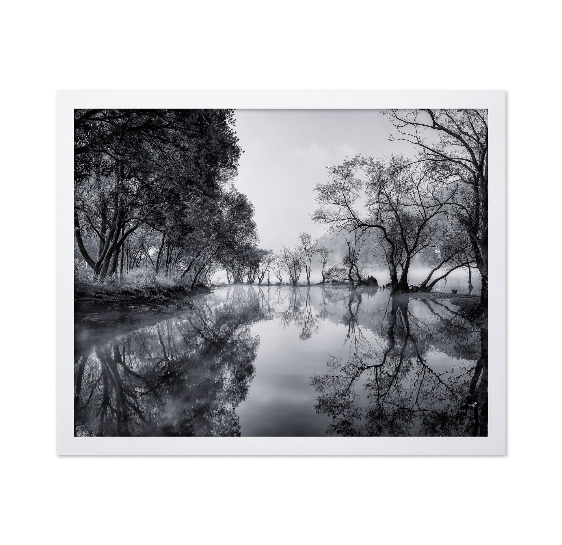 Misty River Reflections