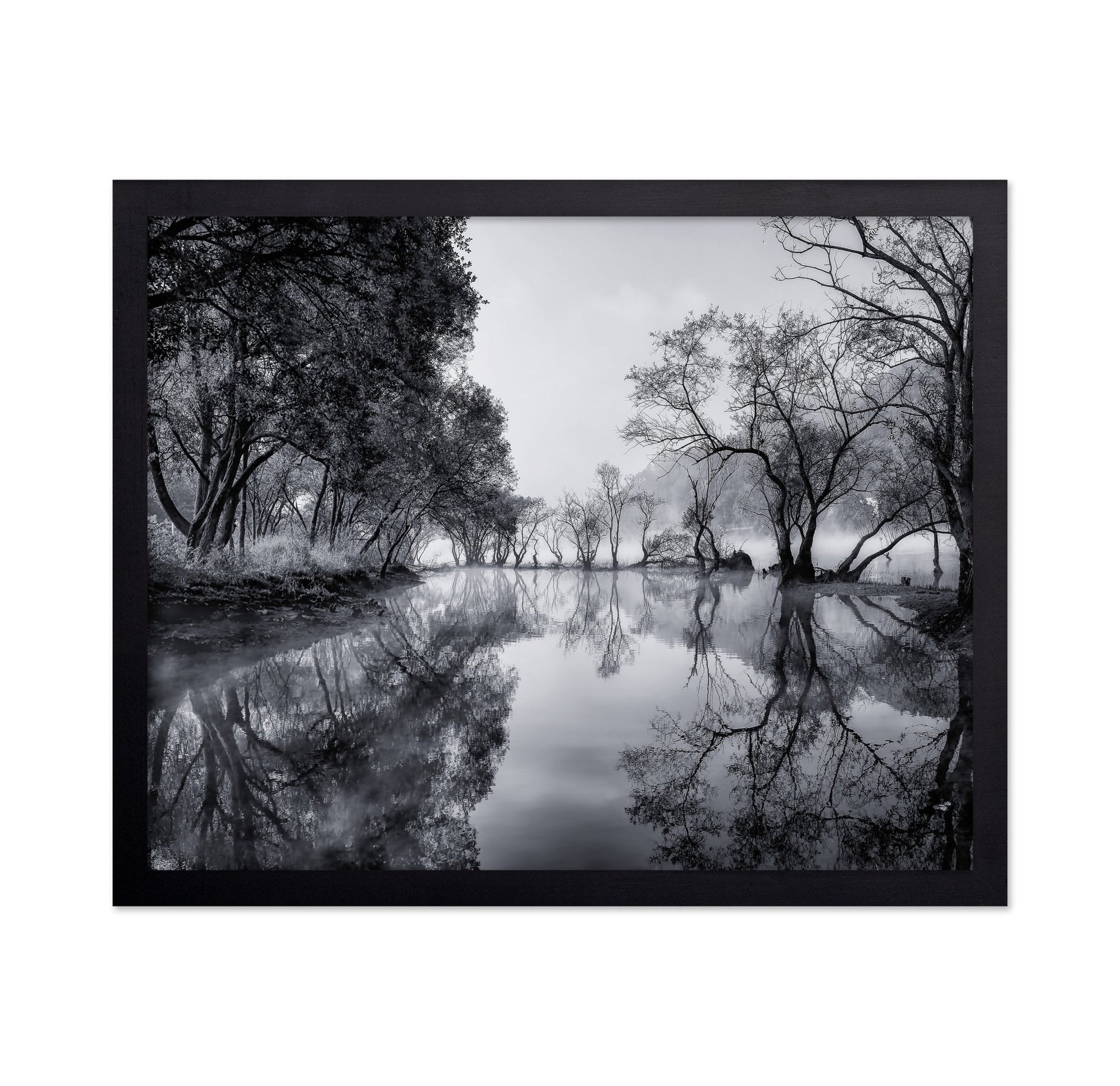 Misty River Reflections