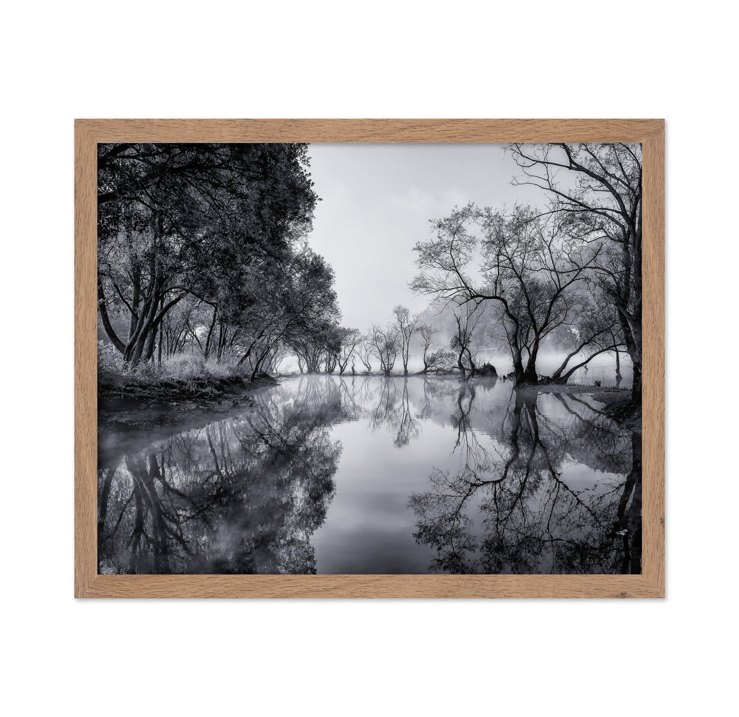 Misty River Reflections