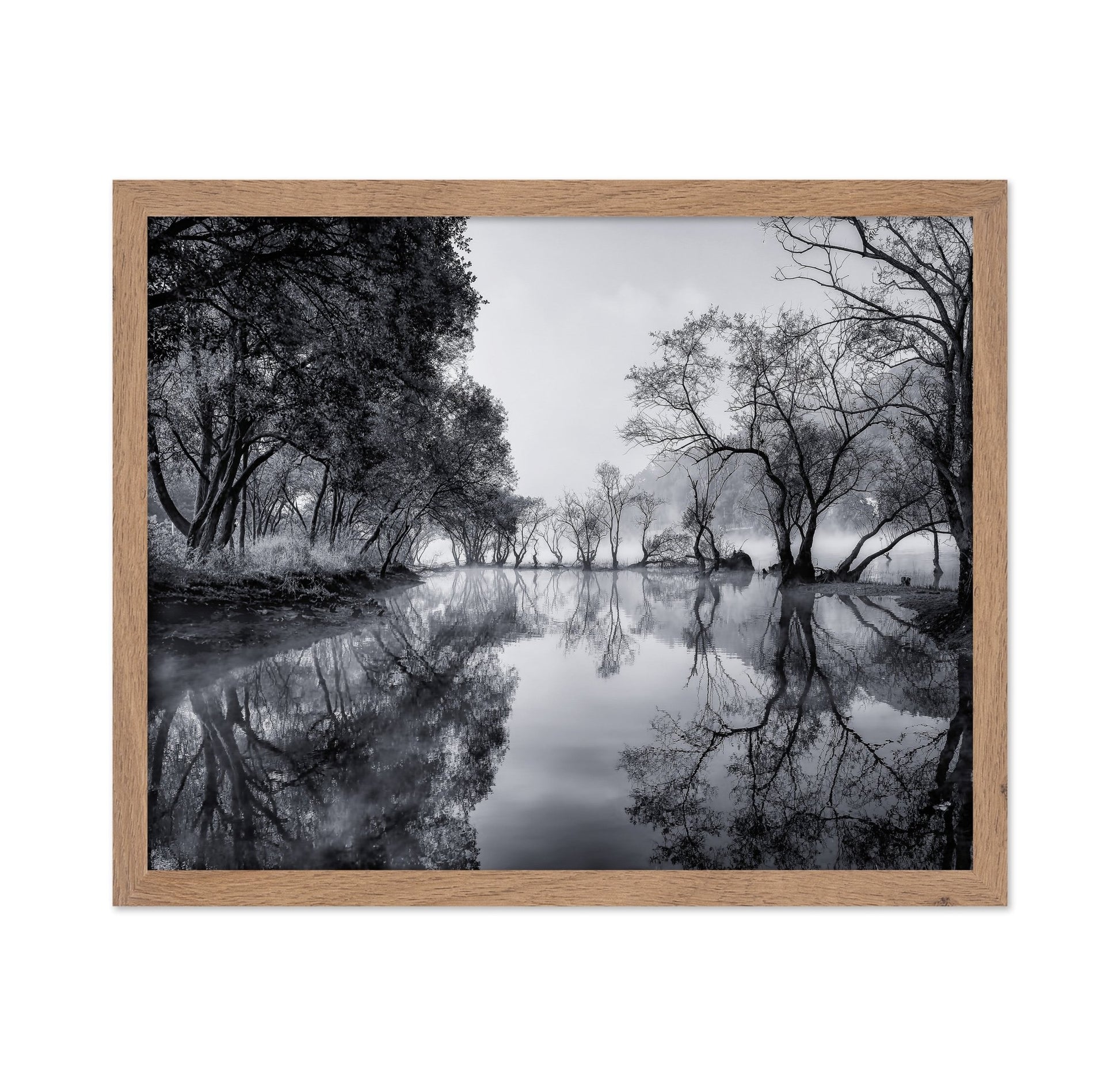 Misty River Reflections