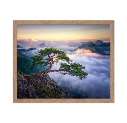 Tree Above The Clouds