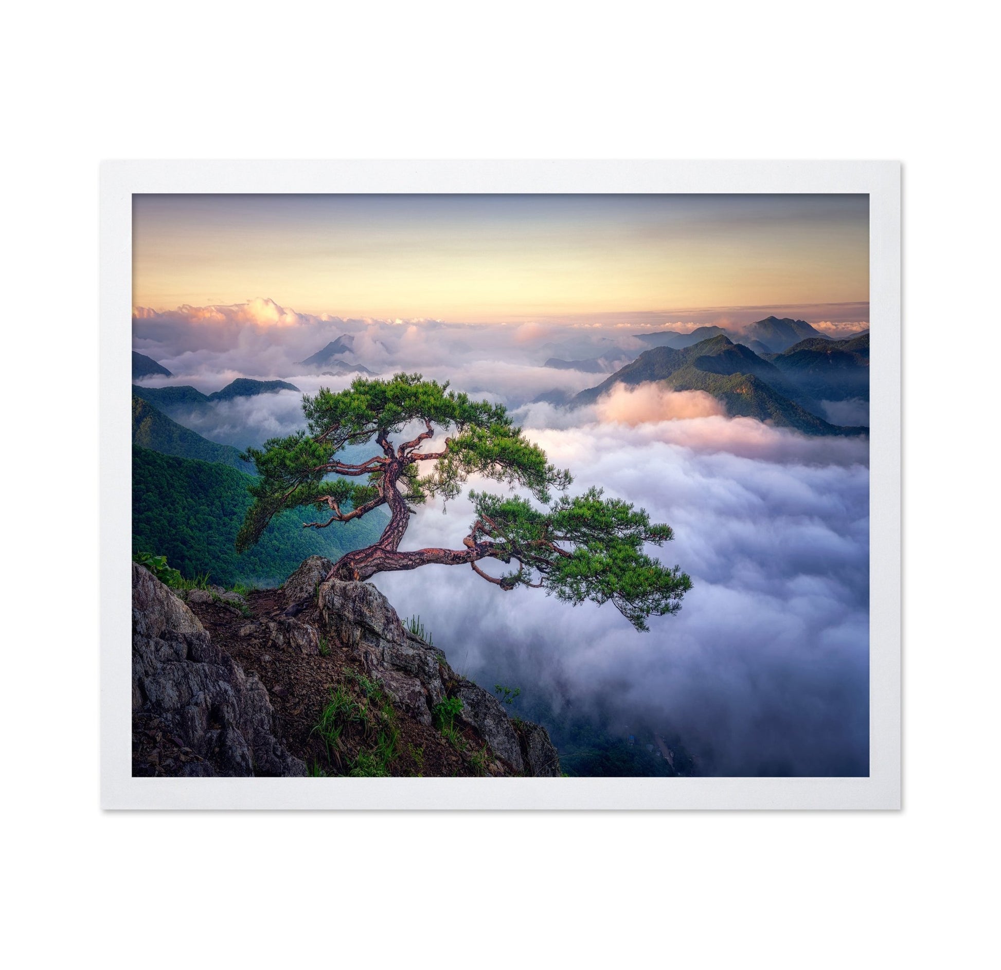 Tree Above The Clouds