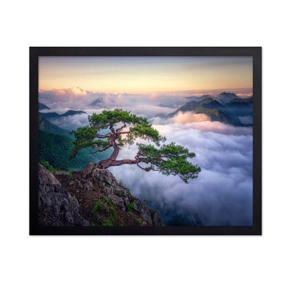 Tree Above The Clouds