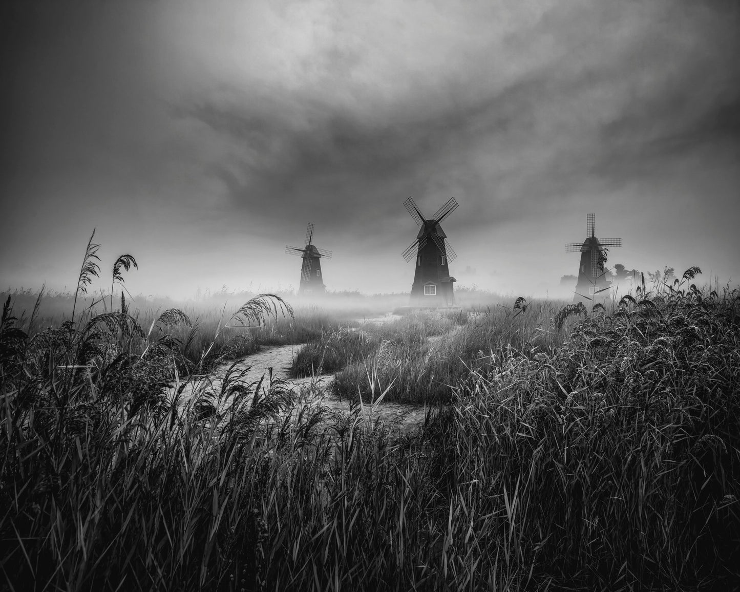 Misty Windmill Fields