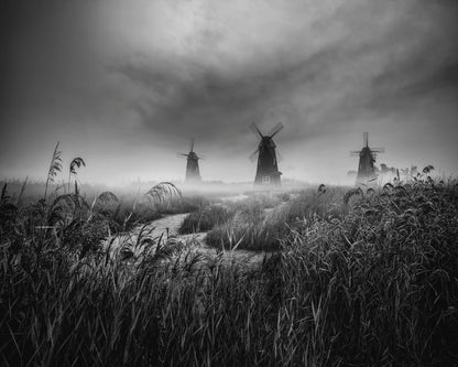 Misty Windmill Fields