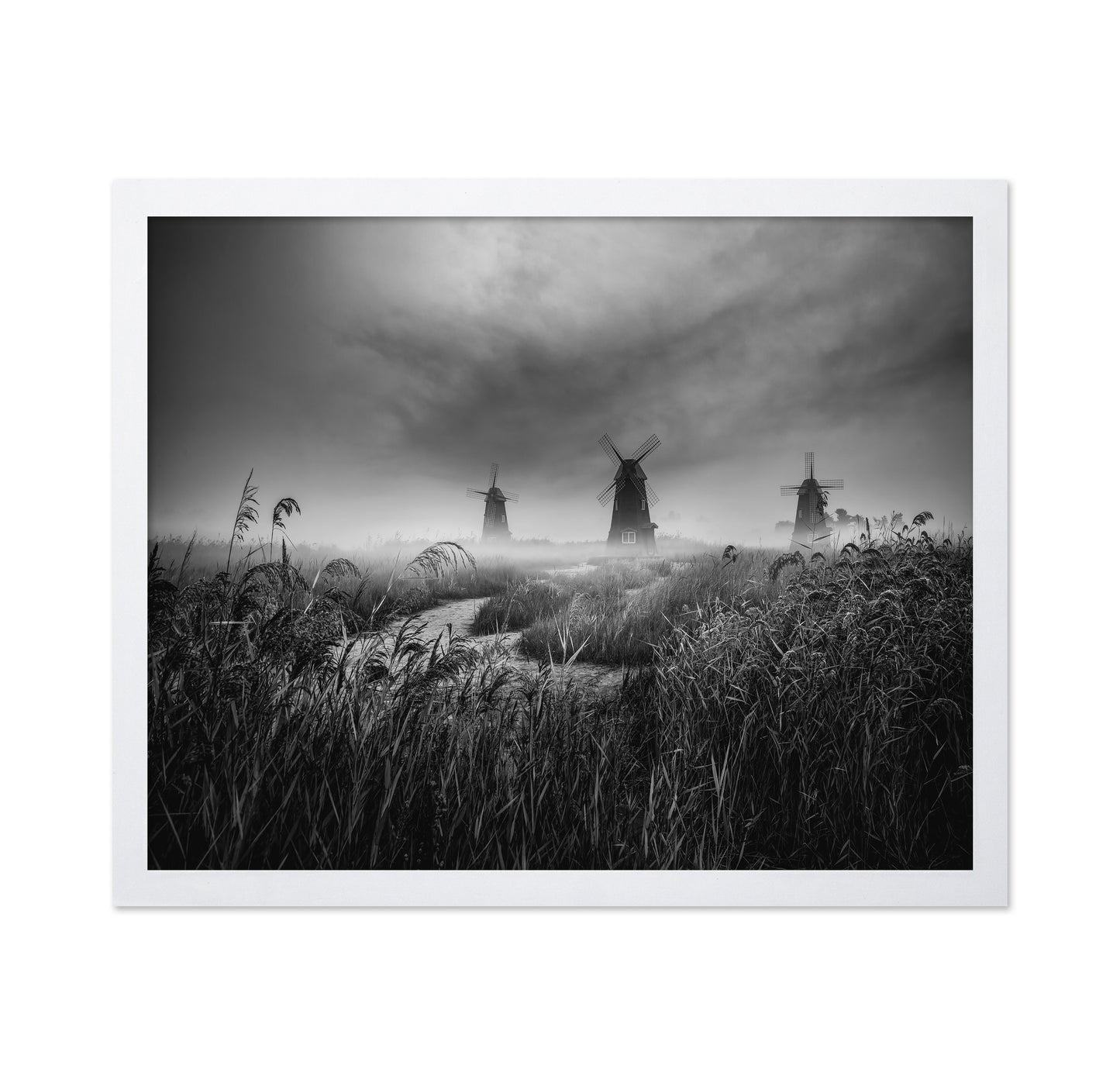 Misty Windmill Fields