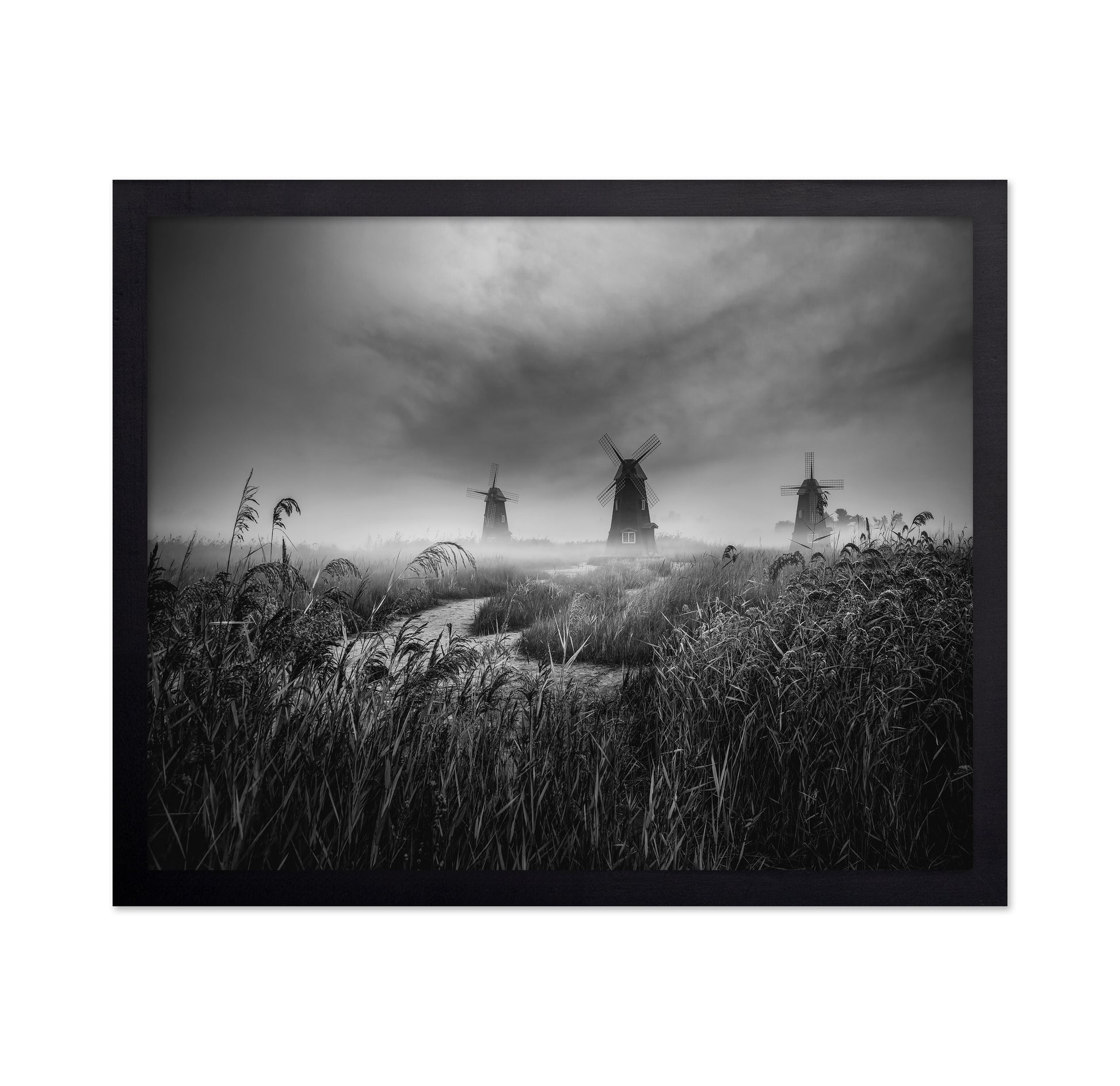 Misty Windmill Fields