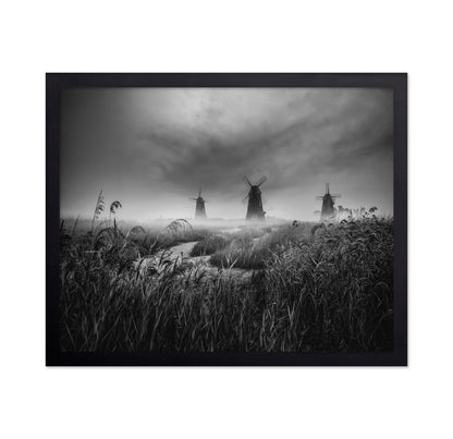 Misty Windmill Fields