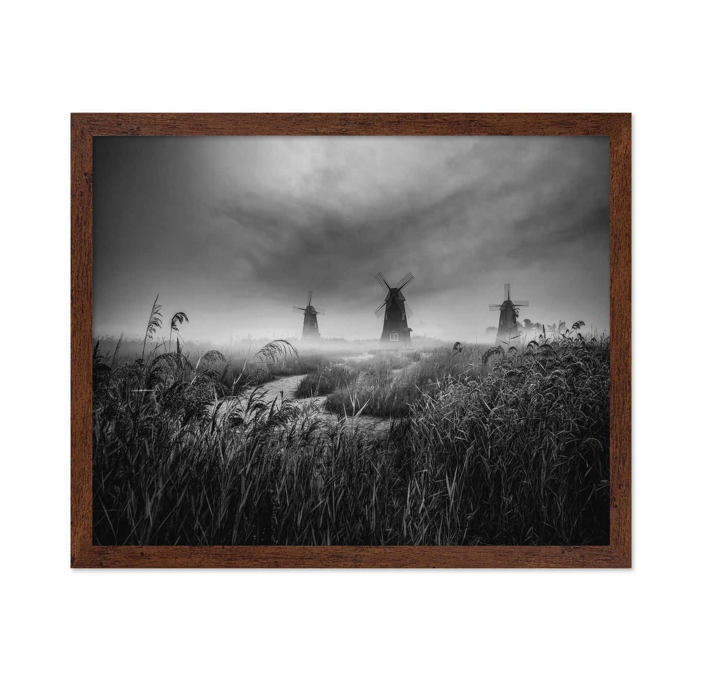 Misty Windmill Fields