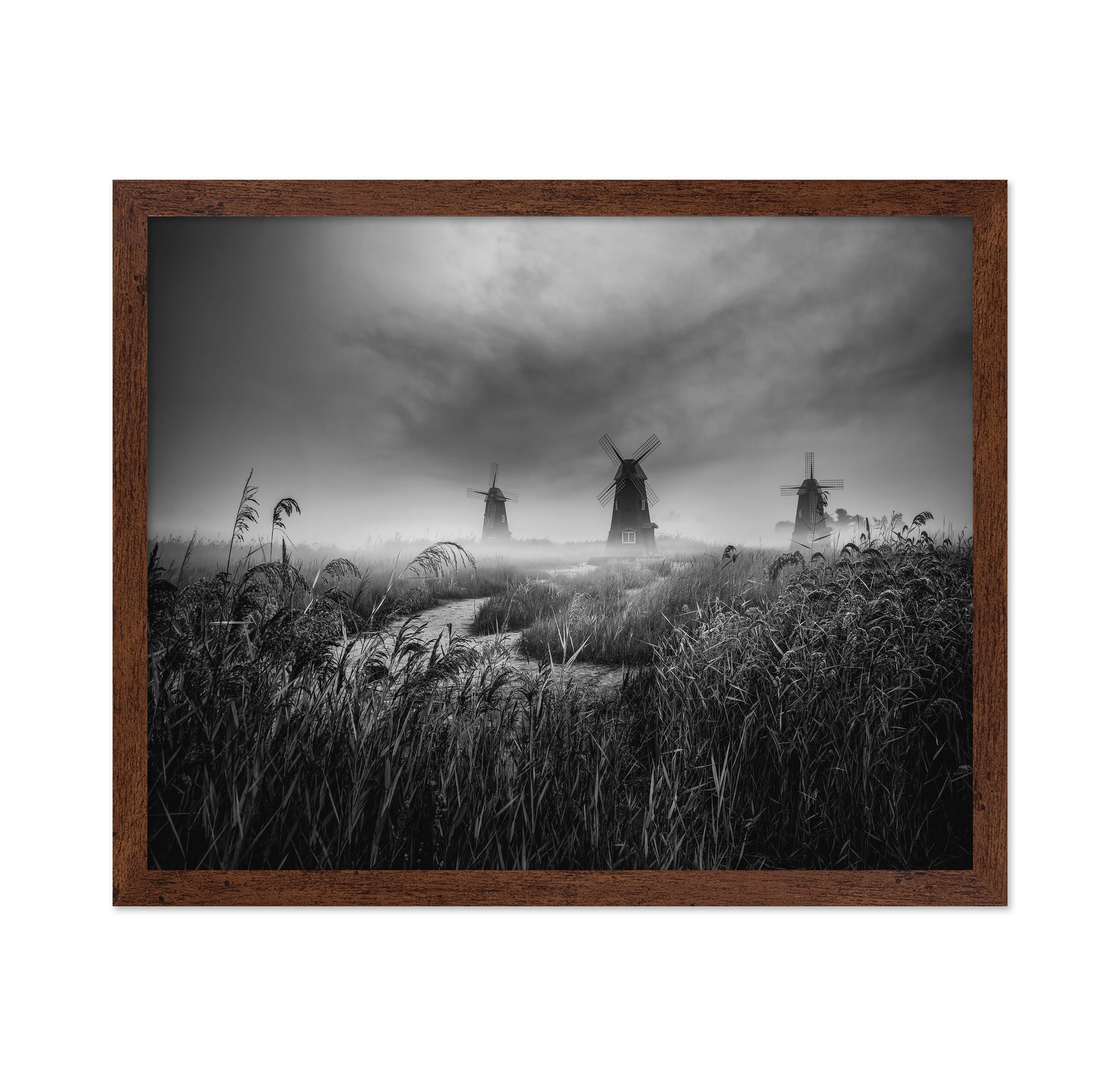 Misty Windmill Fields