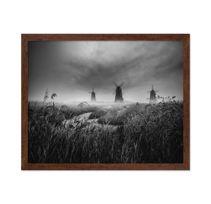Misty Windmill Fields