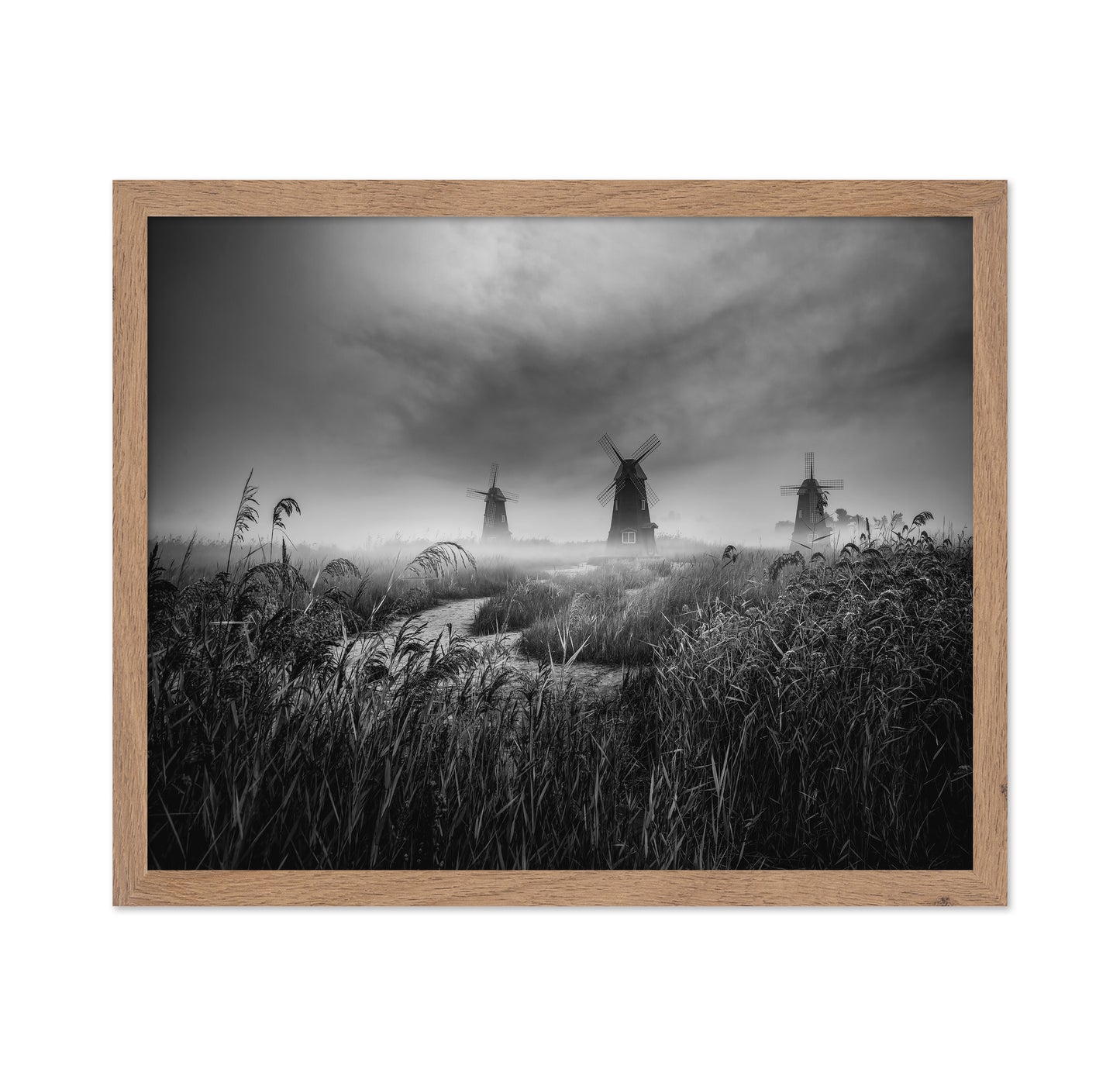 Misty Windmill Fields