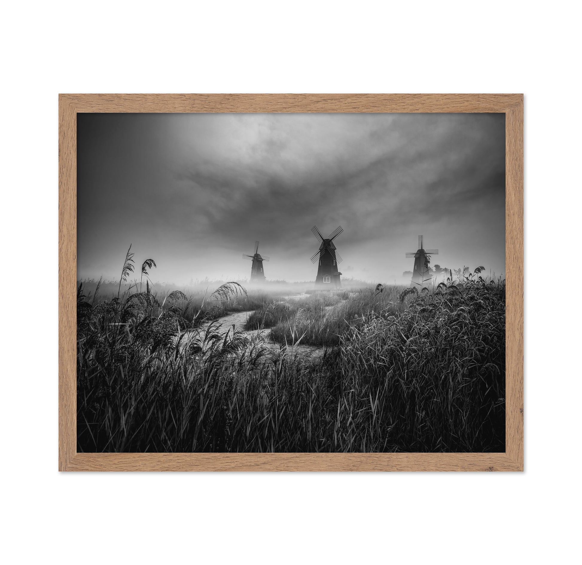 Misty Windmill Fields