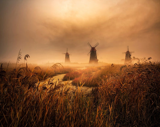 Foggy Windmill Fields