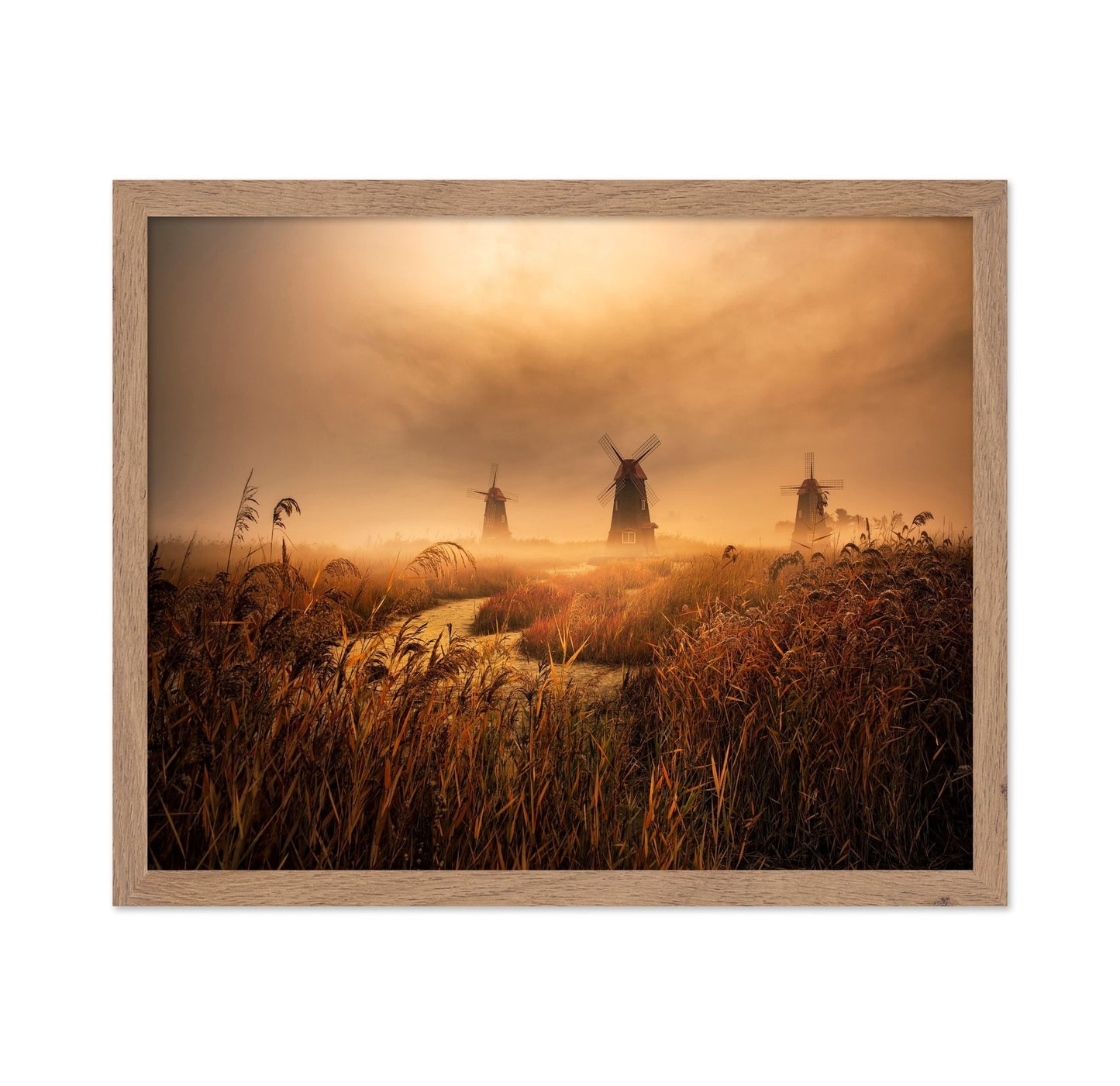 Foggy Windmill Fields