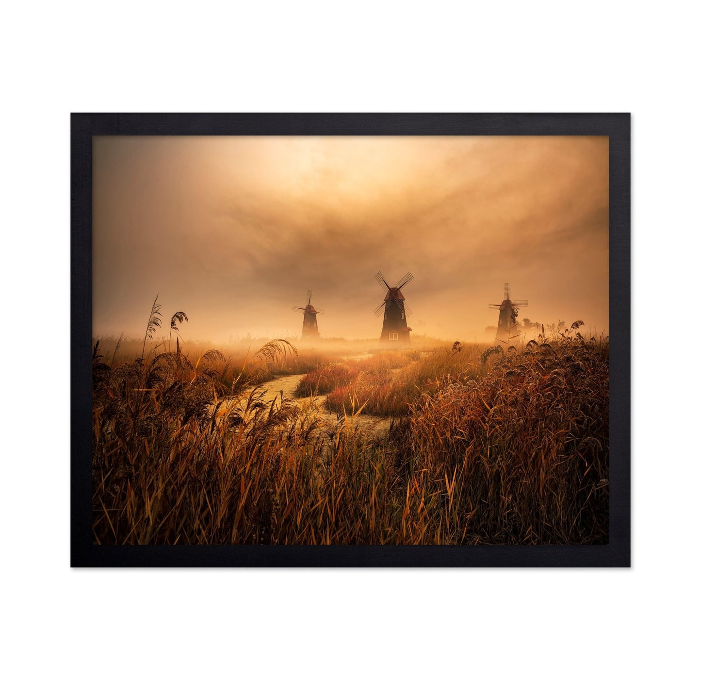 Foggy Windmill Fields