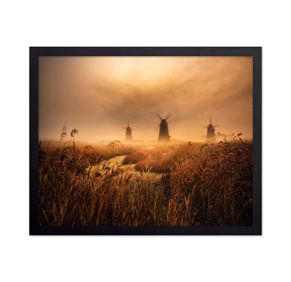 Foggy Windmill Fields