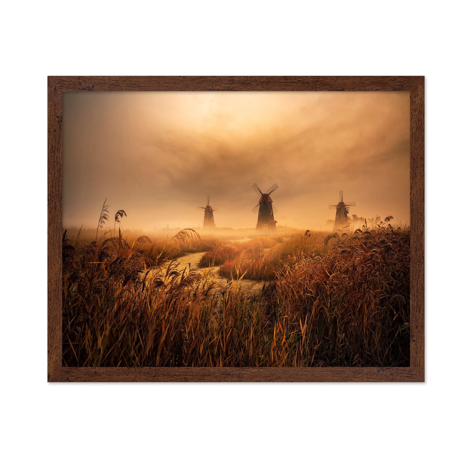 Foggy Windmill Fields