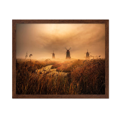 Foggy Windmill Fields