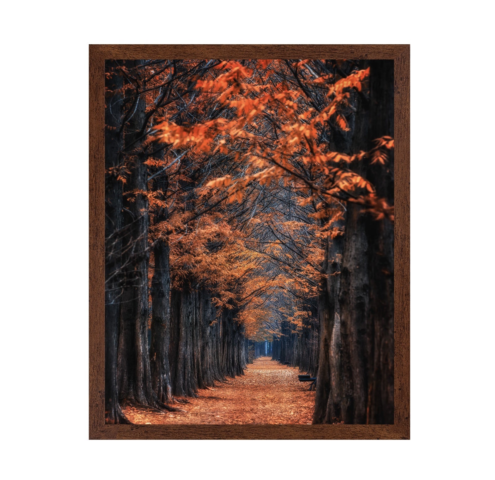 Autumn Tunnel Path