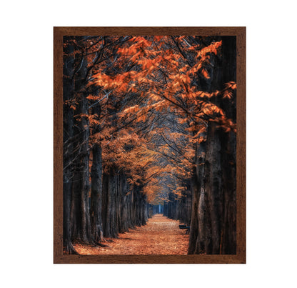 Autumn Tunnel Path
