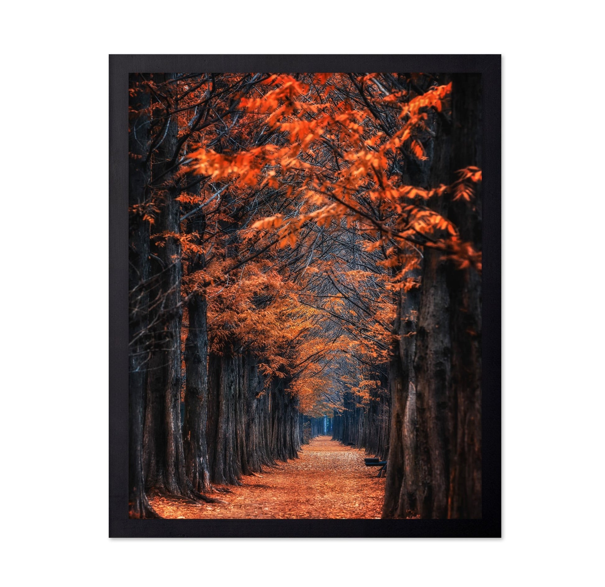 Autumn Tunnel Path