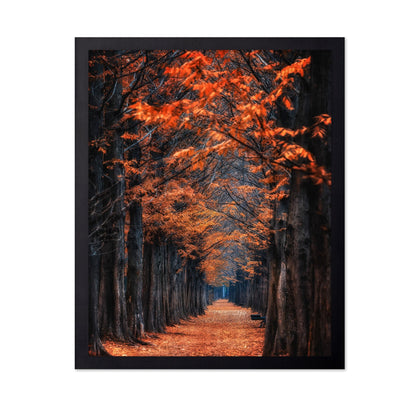 Autumn Tunnel Path