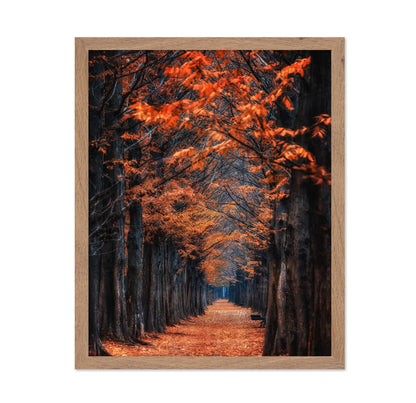 Autumn Tunnel Path