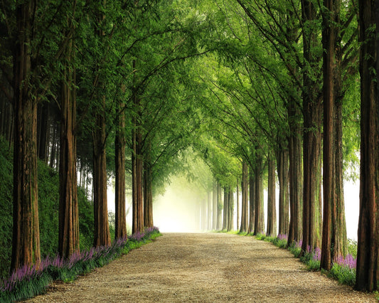 Green Forest Avenue