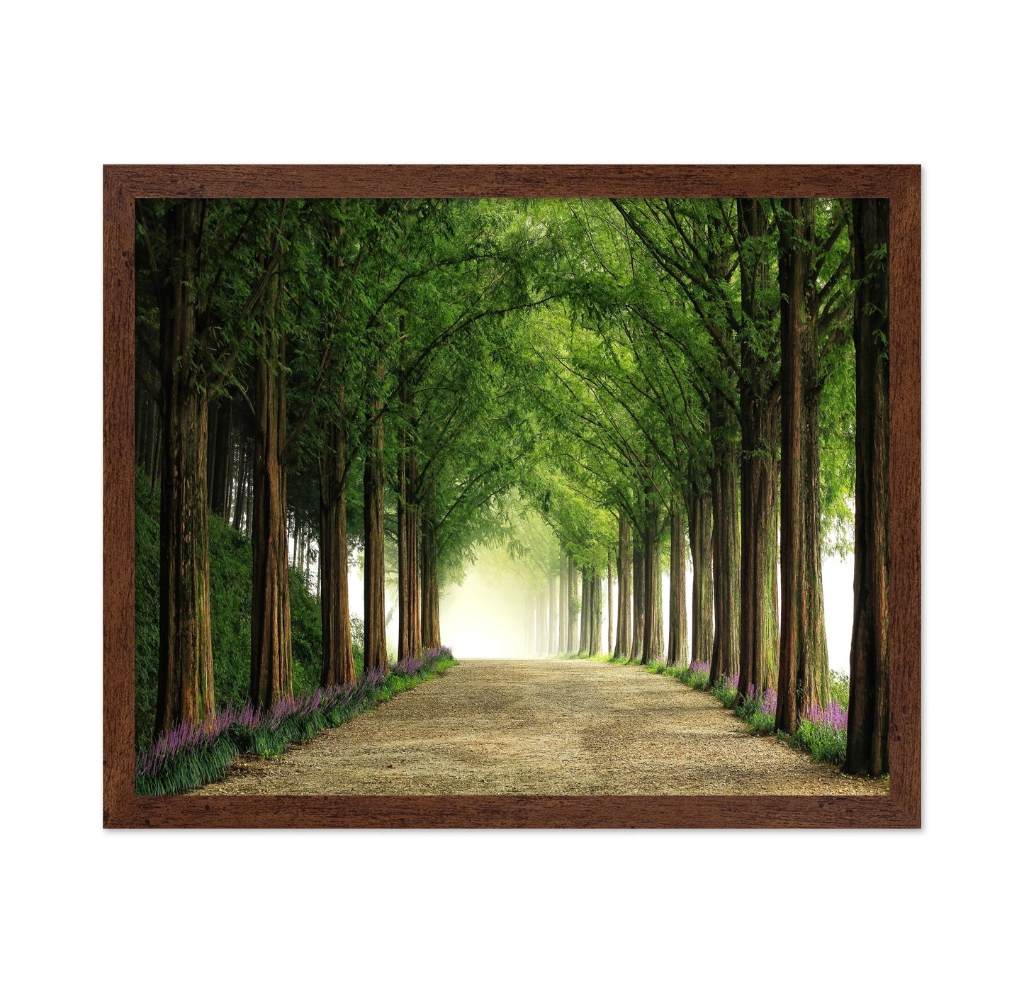 Green Forest Avenue