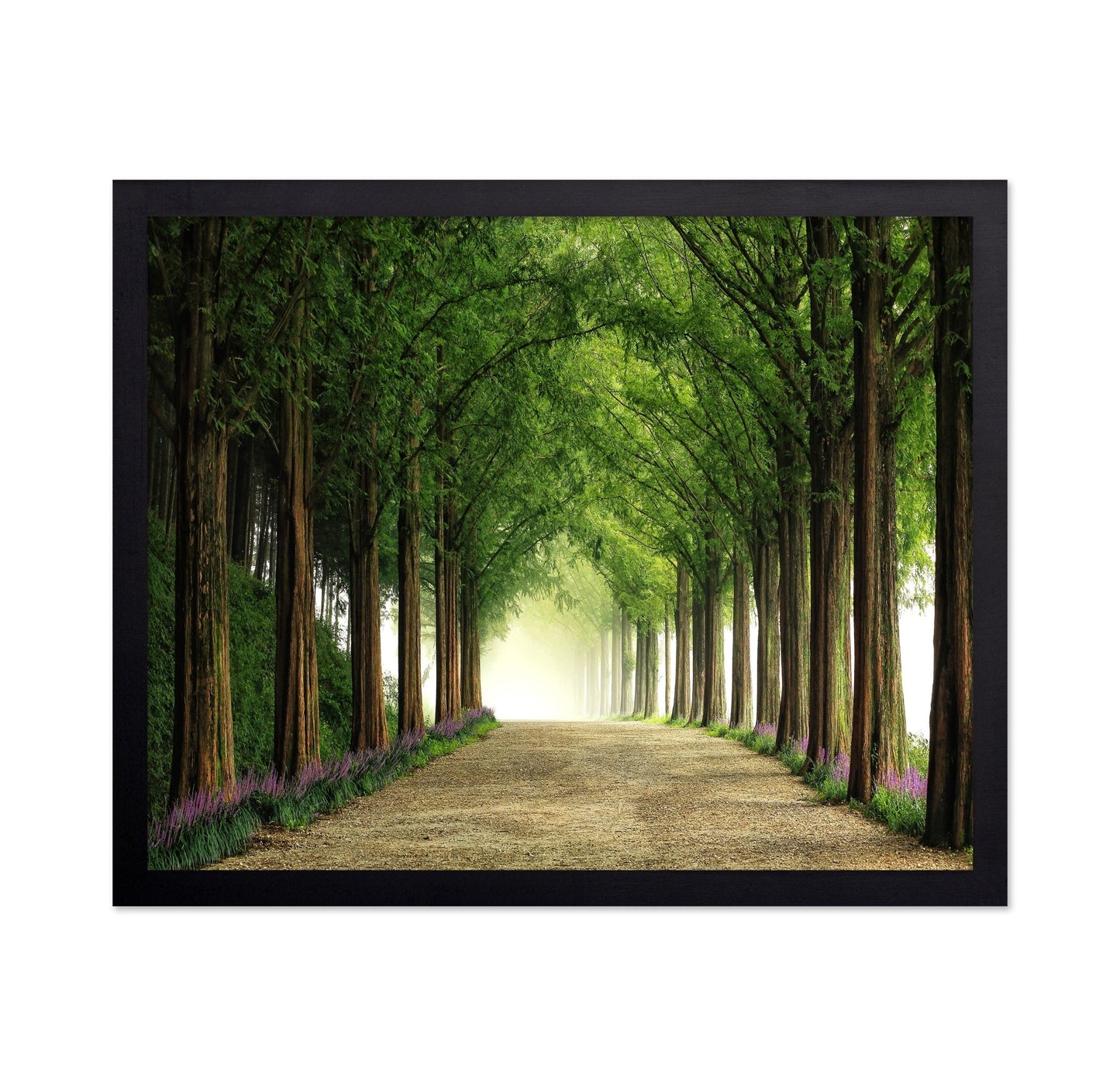 Green Forest Avenue